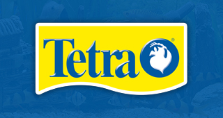 Tetra
