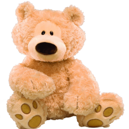 Teddy Bear