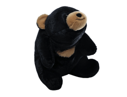 Bears