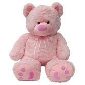 Huge Teddy Bear