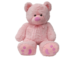 Learning Toys (6)