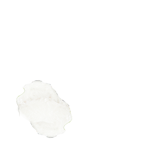 cheese