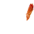 shrimp