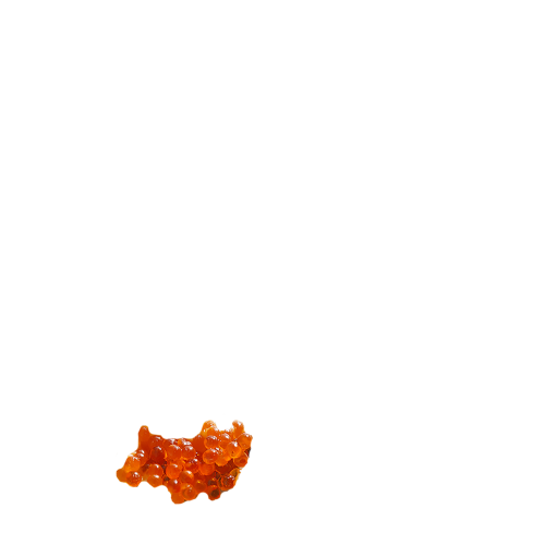 tobiko caviar