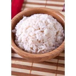 Yuki Bento