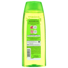 Garnier Fructis