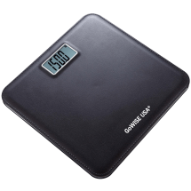 GoWISE Electronic Personal Digital