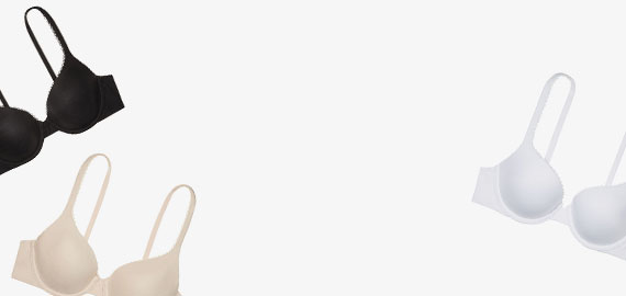 banner-mid