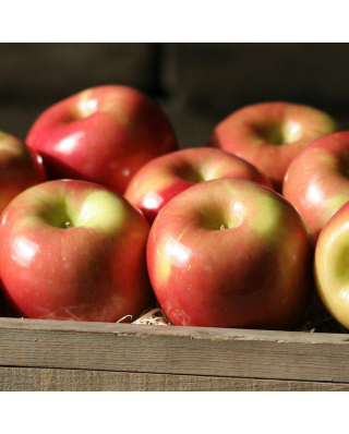 Gala Apples Fresh Produce Fruit