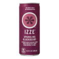 Izze Sparkling Juice Variety Pack