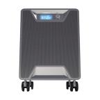 Airgle AG950 PurePal MultiGas HEPA