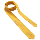 Tie In Dots & Circles