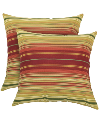 Greendale Home Fashions Indoor Outdoor Accent Pillows