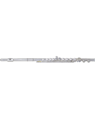 Etude Student Flute Closed Hole