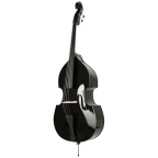 Florea Midnight Double Bass Outfit