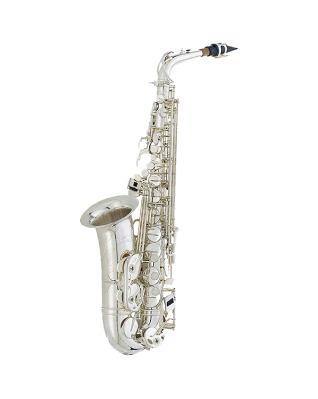 RS Berkeley Artist Series Saxophone