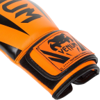 Venum Elite Boxing Gloves