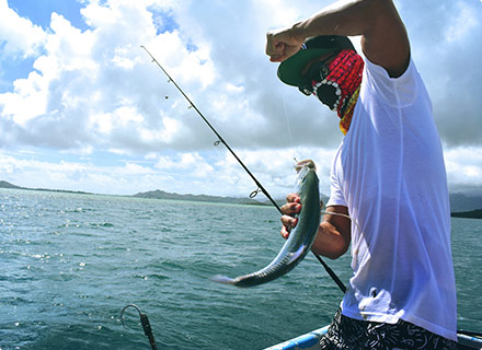 Today's Top Wake Baits