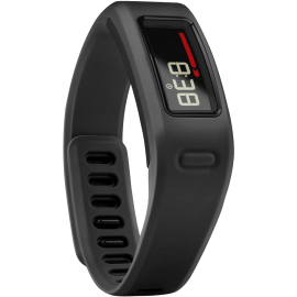 Garmin Vivofit Fitness Band