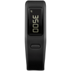 Garmin Vivofit Fitness Band
