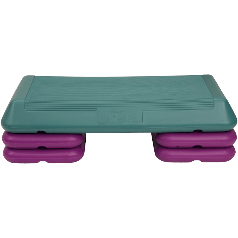 The Step F1004 Step Workout System