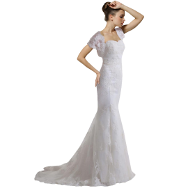 Luxury Vintage Capped Wedding Dress