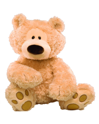 Teddy Bear