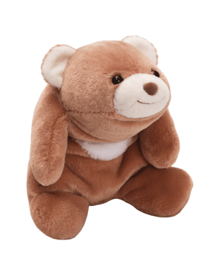 Teddy Bear Stuffed