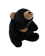 Teddy Bear Stuffed