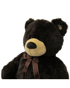 Huge Teddy Bear