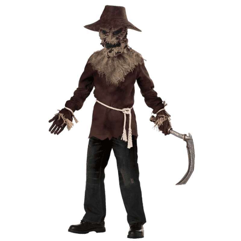 California costumes toys wicked scarecrow 