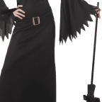 California costumes womens elegant witch costume 