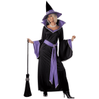 California costumes womens incantasia the glamour witch 