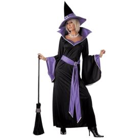 California costumes womens incantasia the glamour witch 