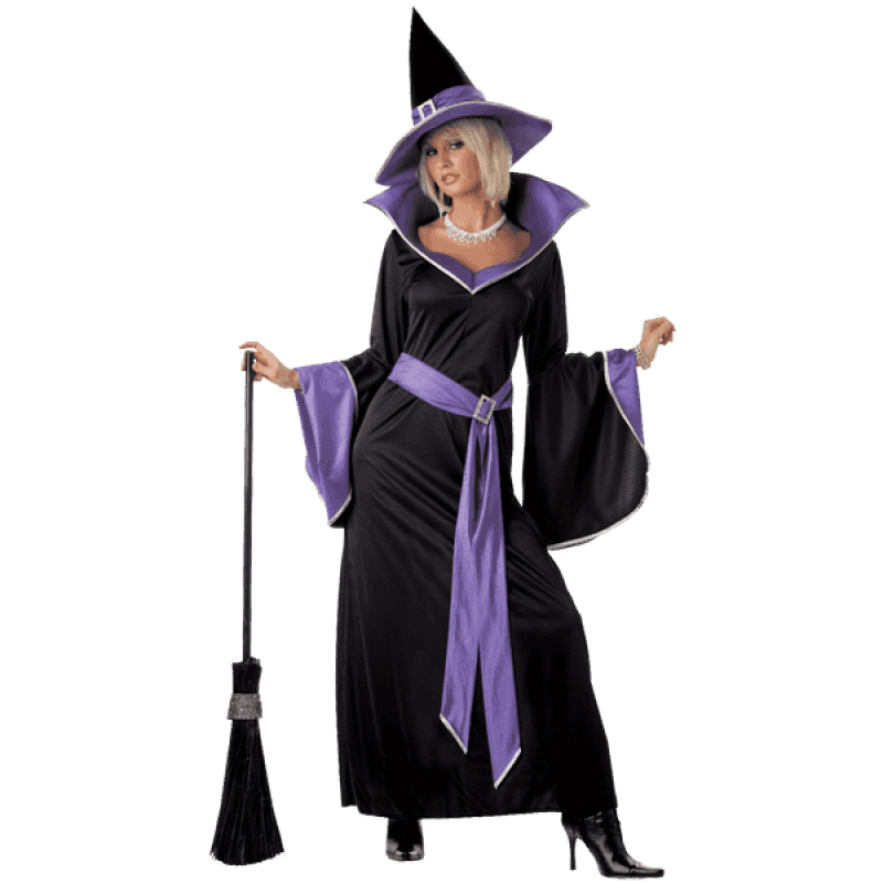 California costumes womens incantasia the glamour witch 