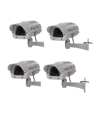 Wireless Vision-Audio Surveillance Camera