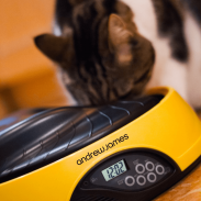 Andrew James Pet Feeder-Bowl