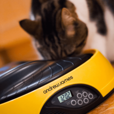 Cat Supplies (6)