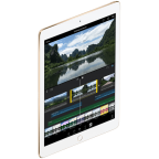 iPad Pro