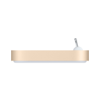 iPhone Lightning Dock - Gold