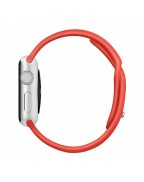 Apple 38 MMWatch Stainless Steel Case 