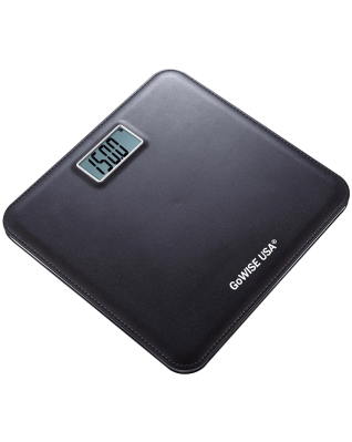GoWISE Electronic Personal Digital