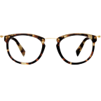 Moriarty Eyeglasses in Burnt Lemon Tortoise for Men 