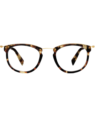 Moriarty Eyeglasses in Burnt Lemon Tortoise for Men 