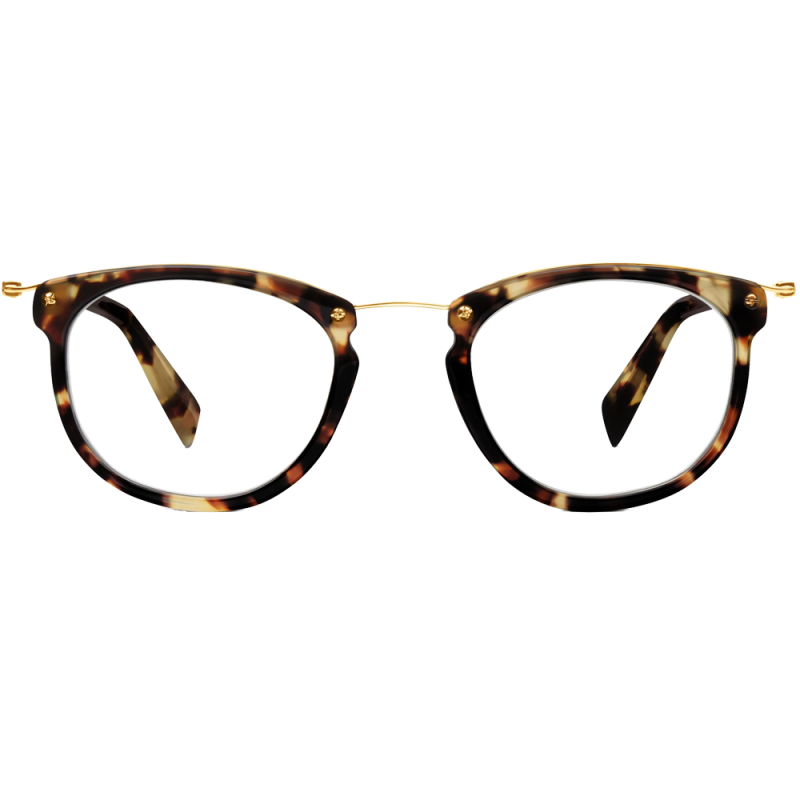 Moriarty Eyeglasses in Burnt Lemon Tortoise for Men 