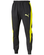 Evostripe Pants