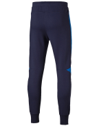 Evostripe Pants