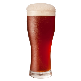 Heineken Lager