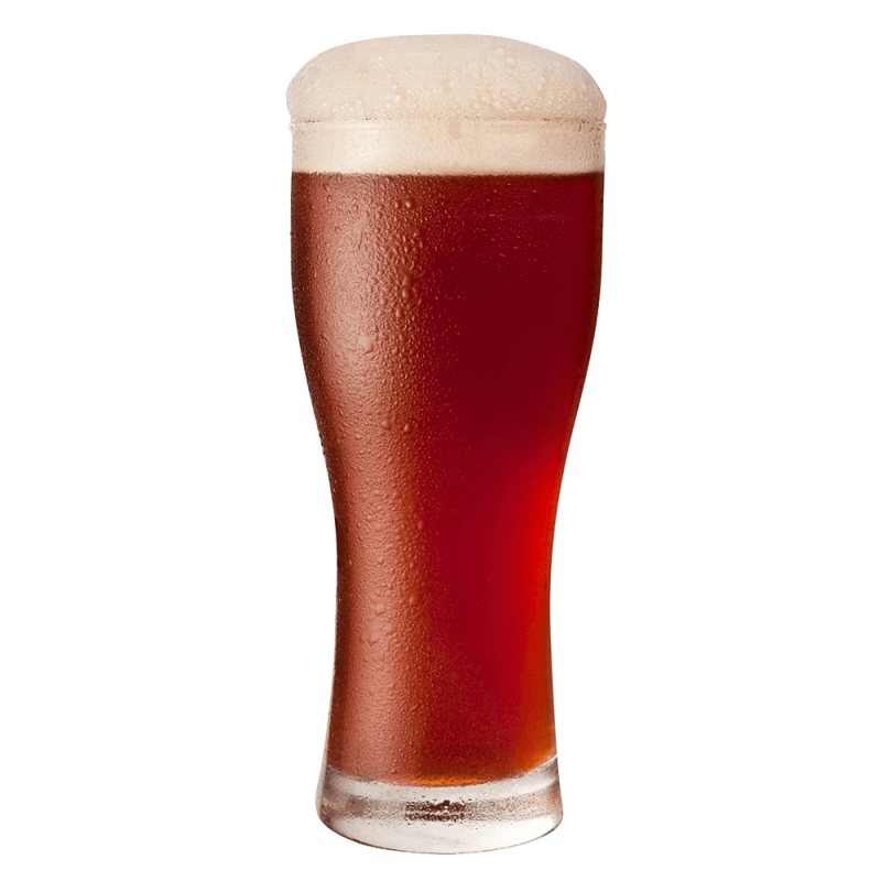 Heineken Lager