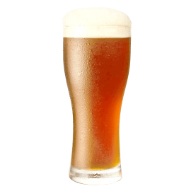 Heineken Lager